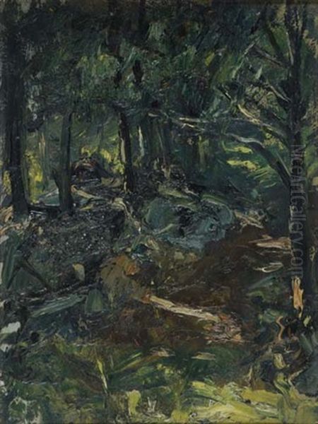 Wooded Landscape - view 1