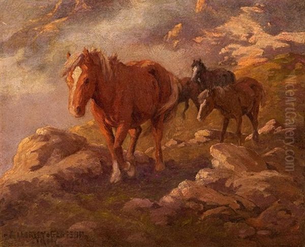 Ponies In The Drakensberg - view 1