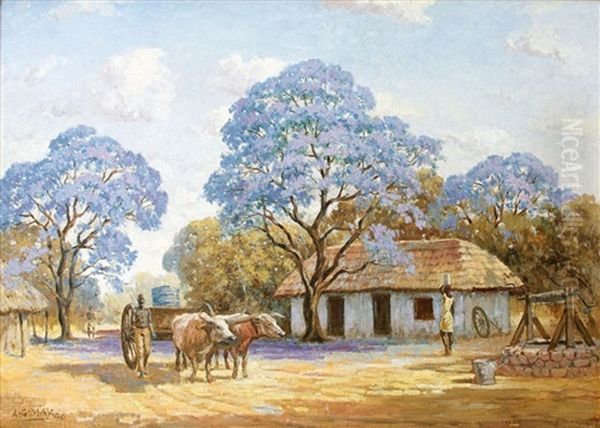 Under The Jacarandas - view 1