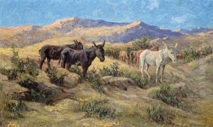 Lesotho Ponies