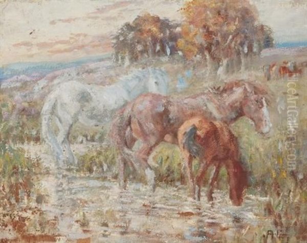 Horses In A Paddock - view 1