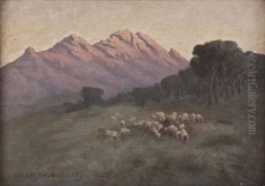 A Flock Of Sheep A Flock Of Sheep