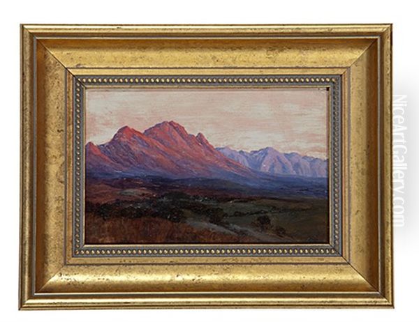 South African Landscape - view 1