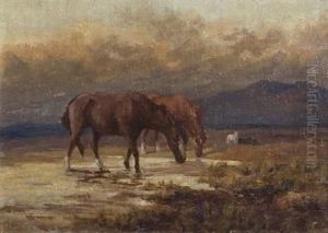 Horses Horses