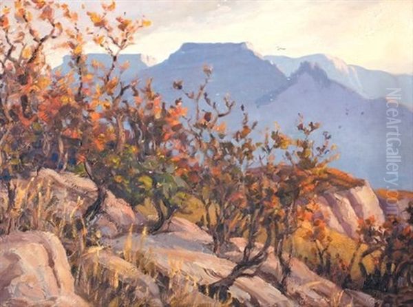 Drakensberg View - view 1