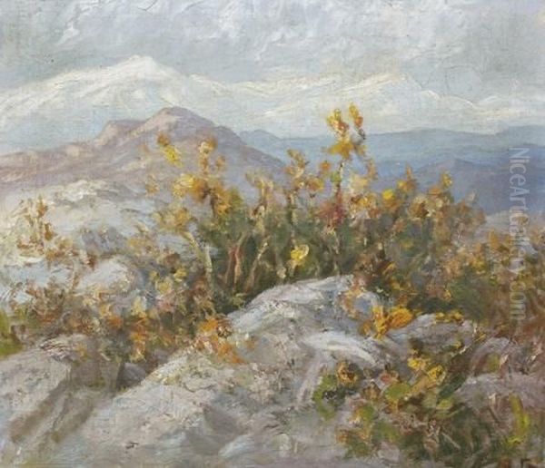 Les Alpes Maritimes - view 1