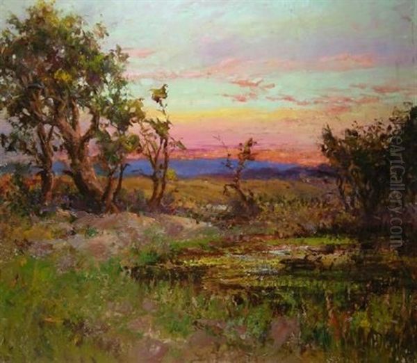 The Home Of The Snipe, New Forest - view 1