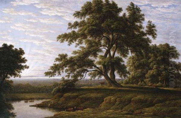 Marchington Woodlands, Needwood Forest, Staffordshire - view 1
