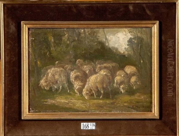 Troupeau De Moutons - view 1