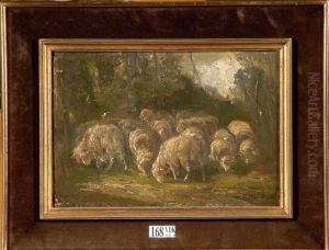 Troupeau De Moutons Troupeau De Moutons