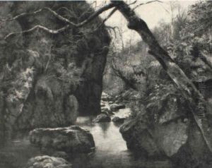 Ein Waldbach by John Glover