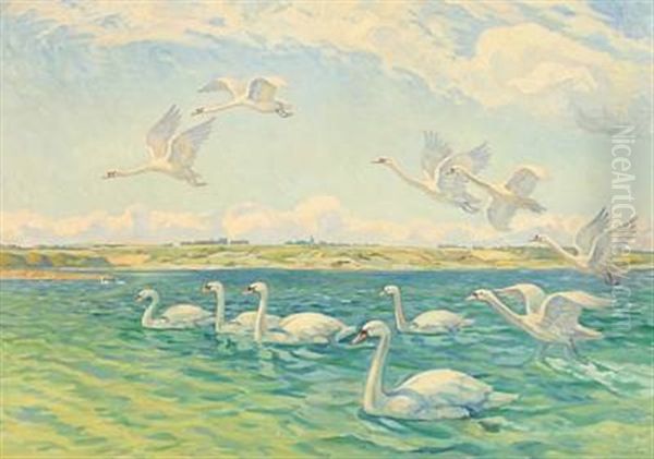 A Flock Of Swans At A Larger Lake - view 1
