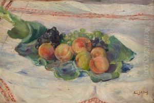 Garten Im Fruhling Mit Bluhenden Kirschbaumen