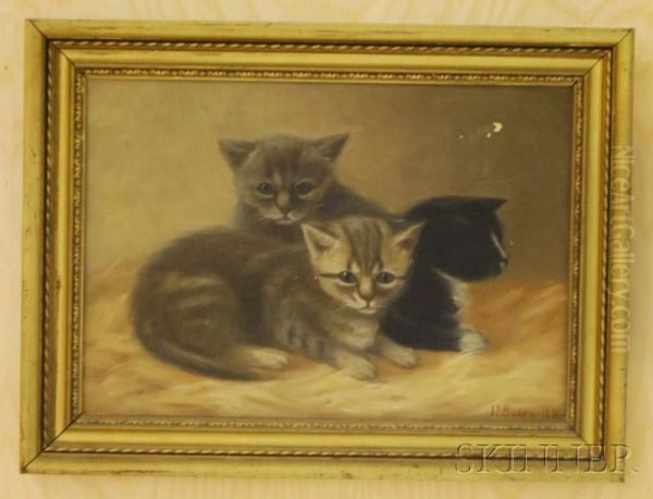 Kittens - view 1