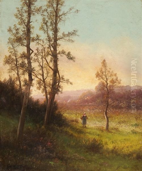 Wiesenlandschaft Mit Baumen - view 1