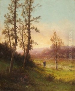 Wiesenlandschaft Mit Baumen