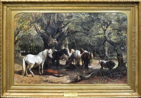 Sunny Days In The New Forest - view 1