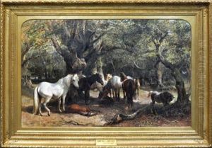 Sunny Days In The New Forest by George Bouverie Goddard