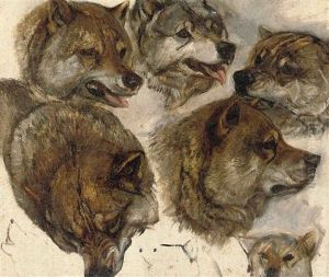 Huskies Heads (study) (+ Another; 2 Works) Huskies Heads (study) (+ Another; 2 Works)