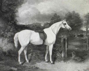 A Grey Pony Saddled Up And Waiting For Mistress by George Bouverie Goddard