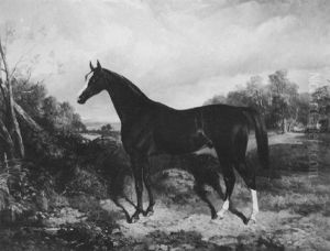 A Racehorse In A Landscape by George Bouverie Goddard