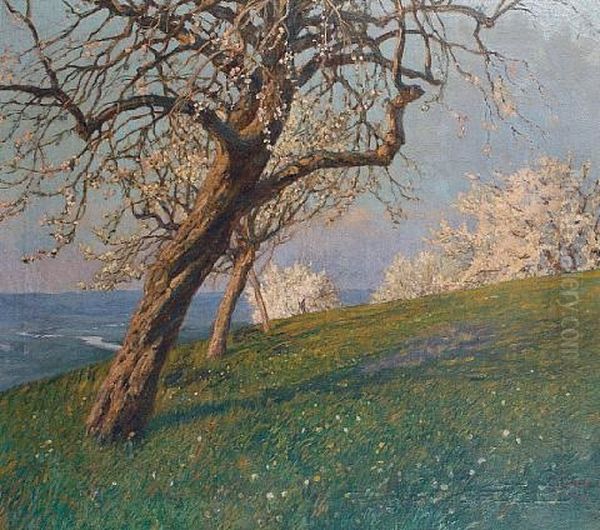 A Hillside View With Trees In Full Bloom - view 1