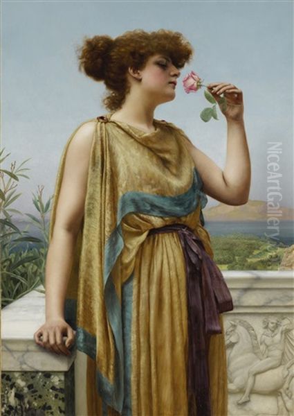 The Fragrant Rose - view 1