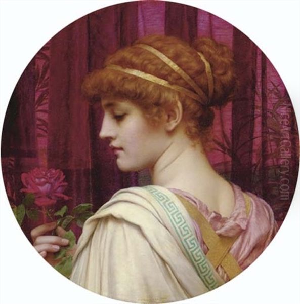 Chloris - A Summer Rose - view 1