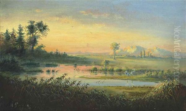 A Venezuelan Wetland With Herons, Evening - view 1