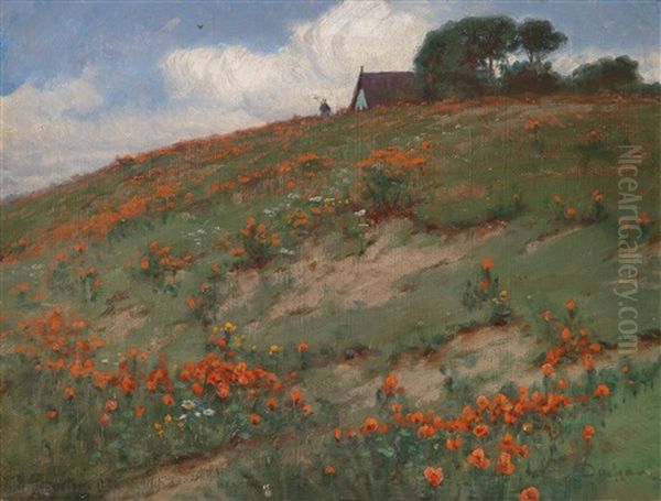 Mohnfeld - view 1