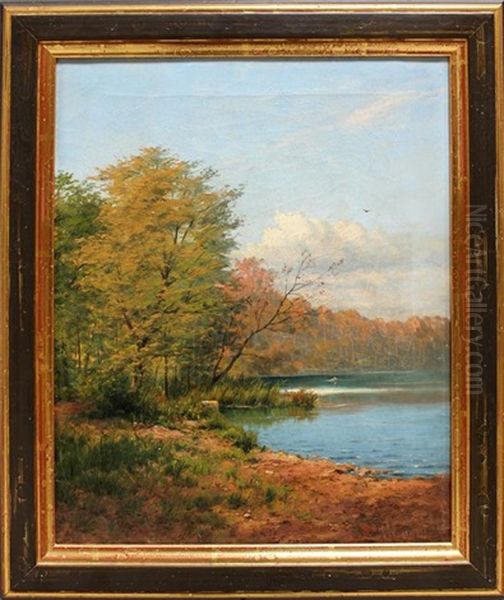 Herbstliches Seeufer - view 1