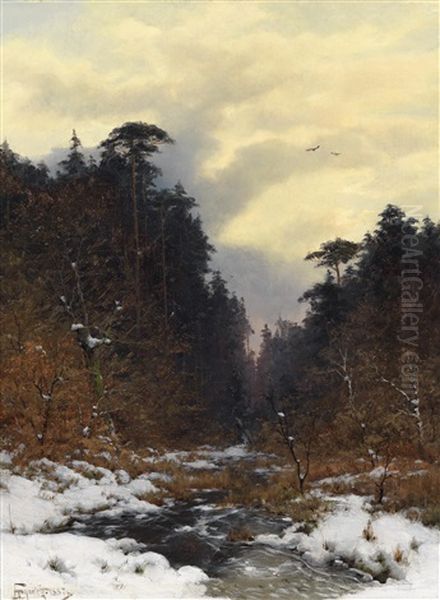 Bachlauf Im Winterwald - view 1