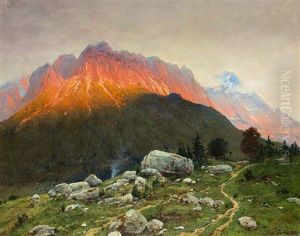 Bergpanorama Mit Almwiesen Im Abendrot