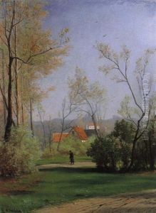 Parklandschaft Mit Spazierganger