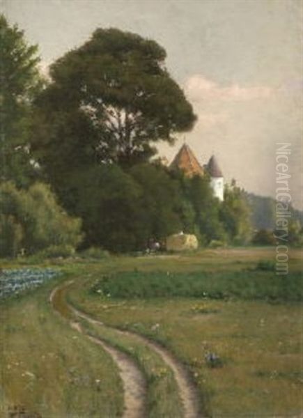 Sommerliche Baumlandschaft - view 1