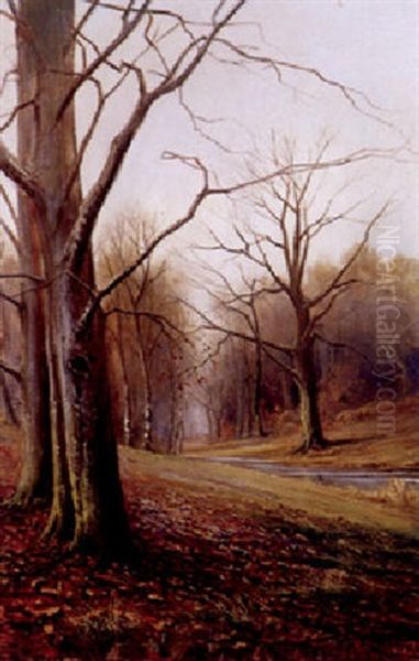 Herbstliche Parklandschaft - view 1