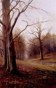 Herbstliche Parklandschaft