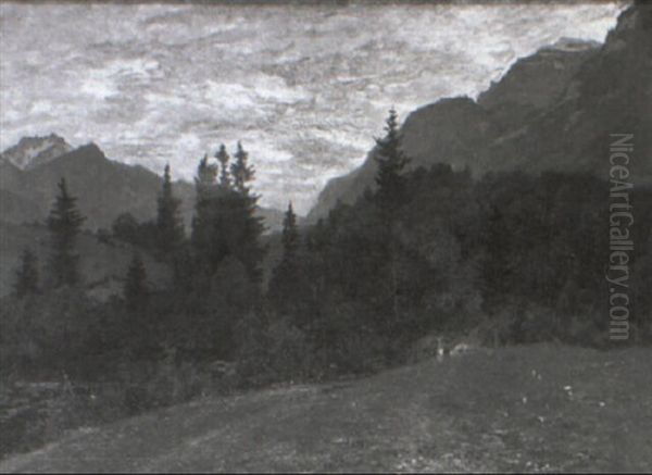 Waldwiese - view 1
