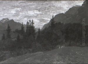 Waldwiese
