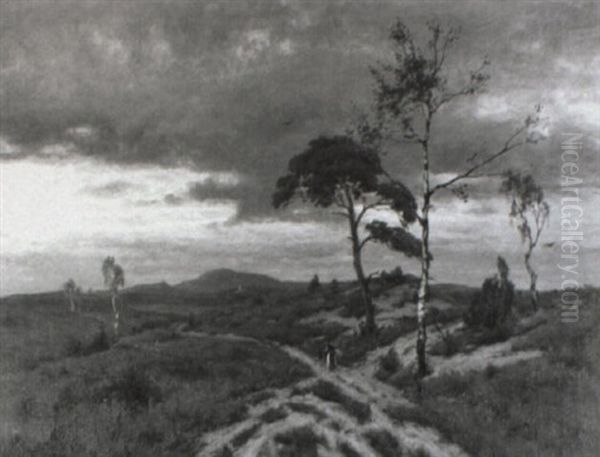 Abendstimmung In Der Heide - view 1