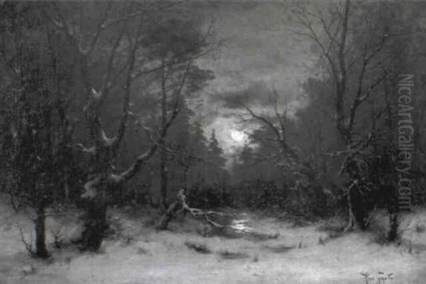 Winterliche Waldlandschaft Bei Mondschein - view 1