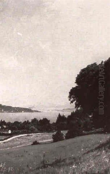 Blick Auf Den Starnberger See - view 1