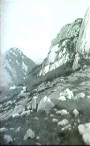 Hirtenpaar Mit Vieh Am Berghang.