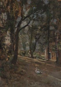 Scorcio Con Alberi Scorcio Con Alberi