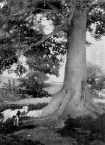 Goats Under A Shade Tree by Walter Dean Goldbeck