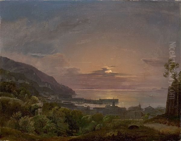 Moonlight Over A Southern Harbour Town - view 1