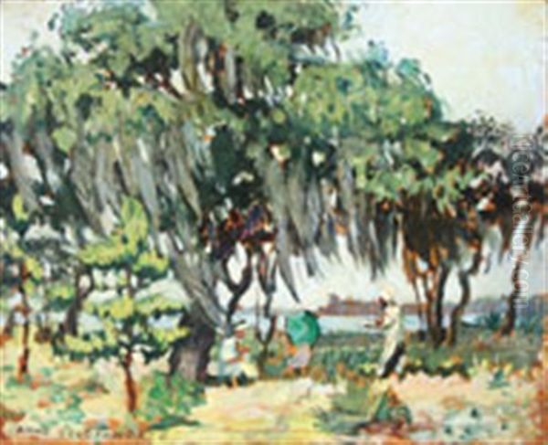 Outdoor Southern Scene With Spanish Moss Covered Trees - view 1