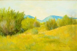 Dana Ranch by Elling William Gollings