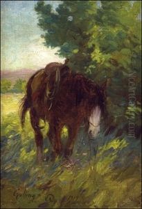 Saddled Horse
