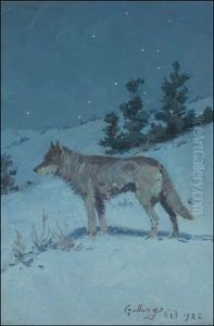 Wolf In Starlight